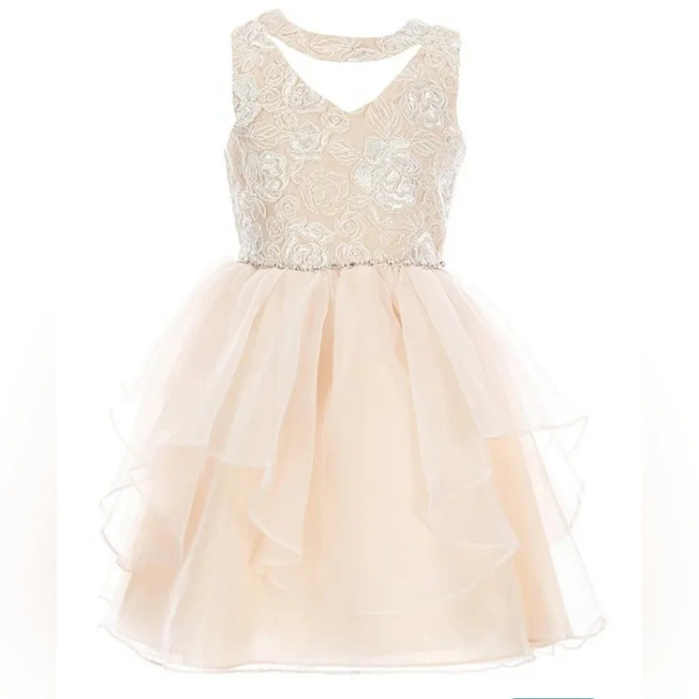 Rare Editions Big Girls Sleeveless Sequin Embroidered Bodice Mesh Organza Dress